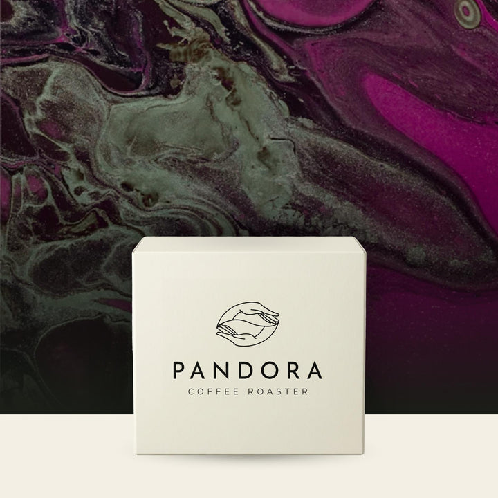 Café Morus — Pandora Coffee Roasters