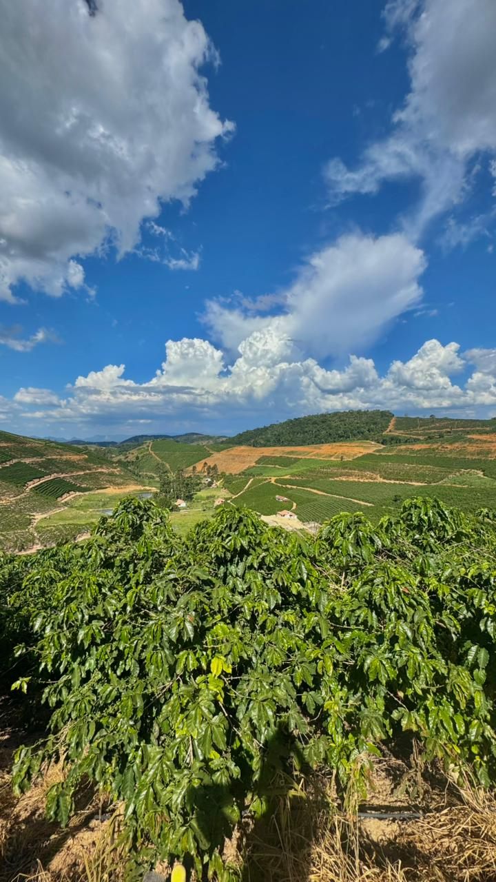 Fazenda Miranda