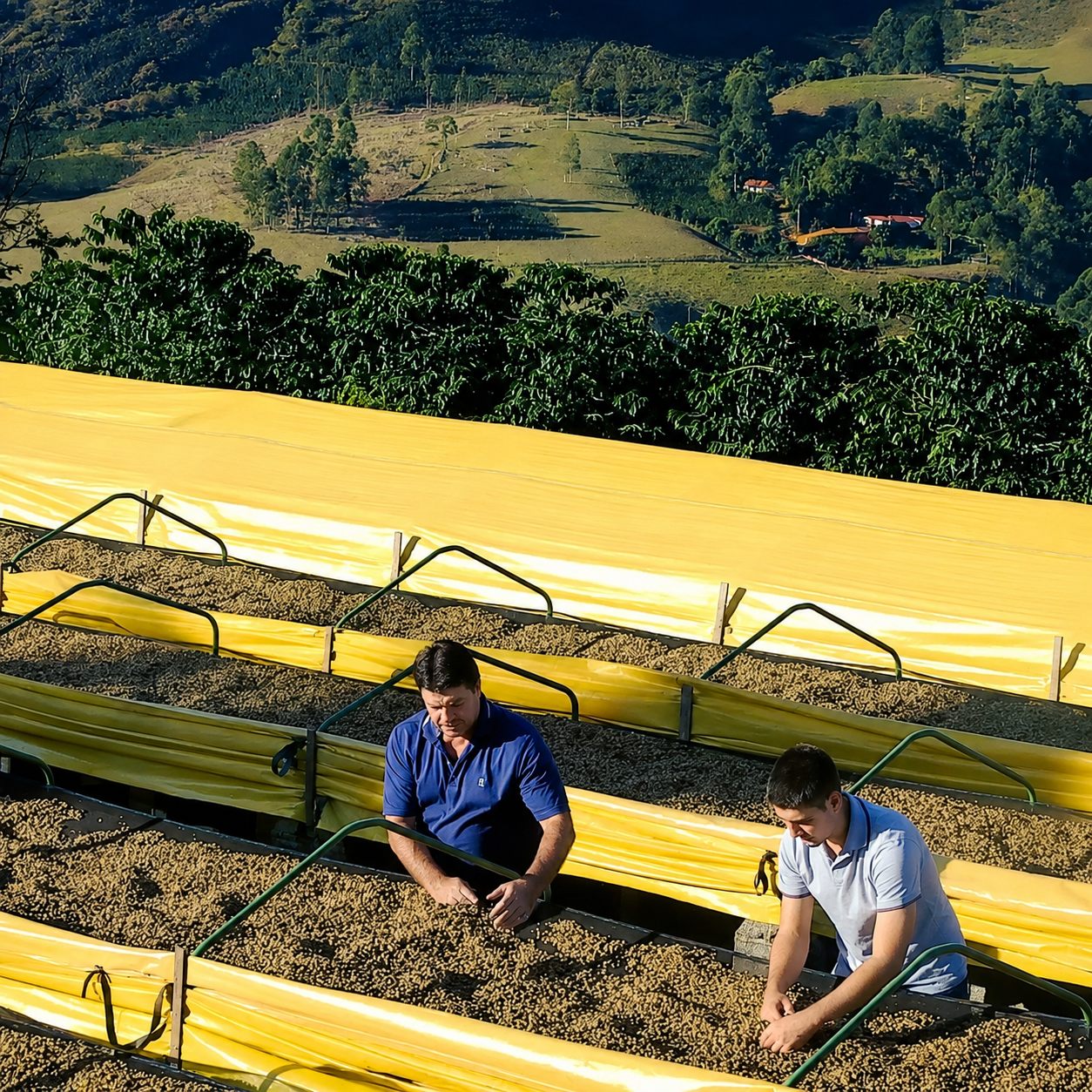 Fazenda Serra do Boné