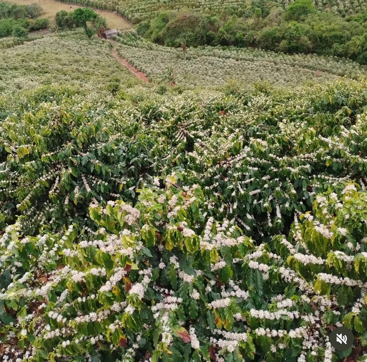 Fazenda Esperança